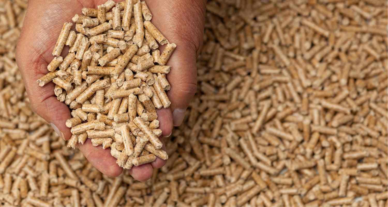 Compatibilité des pellets avec une cuisinière à bois